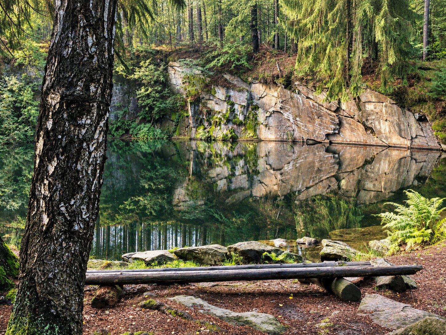 Wassergefüllter Steinbruch am Mälzerberg bei Schirgiswalde, umgeben von Wald