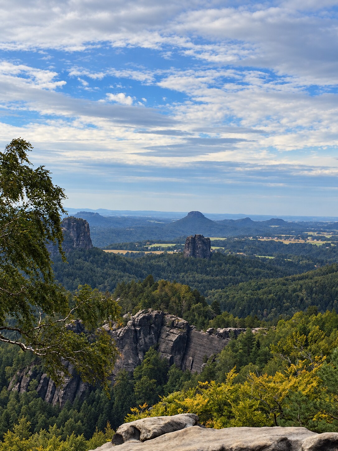 Weiter Blick über Felsen und Wälder der Sächsischen Schweiz